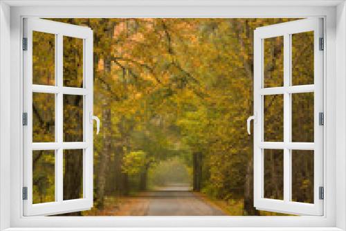 Fototapeta Naklejka Na Ścianę Okno 3D - Jesienna droga