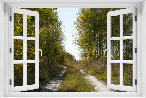 Fototapeta Naklejka Na Ścianę Okno 3D - Road in the autumn forest