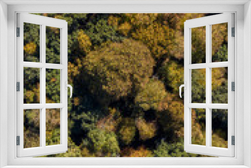 Fototapeta Naklejka Na Ścianę Okno 3D - Autumn forest trees aerial drone photography