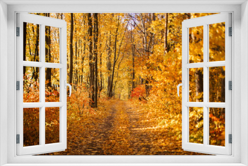 Fototapeta Naklejka Na Ścianę Okno 3D - Colorful Autumn Road