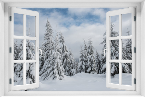 Fototapeta Naklejka Na Ścianę Okno 3D - Winter wonderland forest