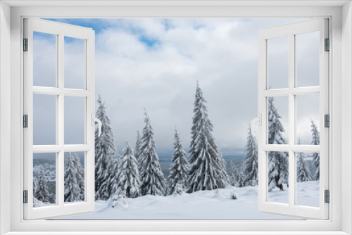 Fototapeta Naklejka Na Ścianę Okno 3D - Winter landscape with snow on trees
