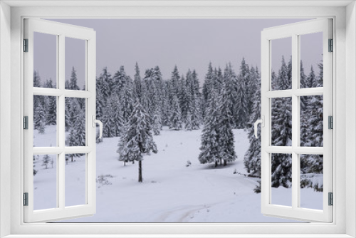 Fototapeta Naklejka Na Ścianę Okno 3D - Winter landscape with frozen trees