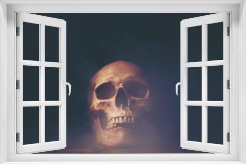 Fototapeta Naklejka Na Ścianę Okno 3D - Human skull, Halloween concept