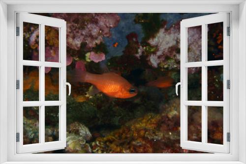 Fototapeta Naklejka Na Ścianę Okno 3D - Entrando en la cueva