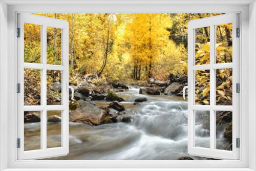 Fototapeta Naklejka Na Ścianę Okno 3D - Flowing Water into Bright Autumn Forest