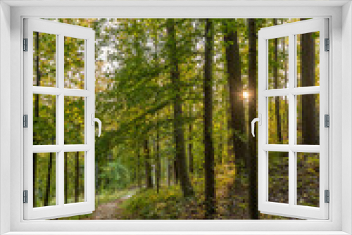 Fototapeta Naklejka Na Ścianę Okno 3D - Natur mit Bäume