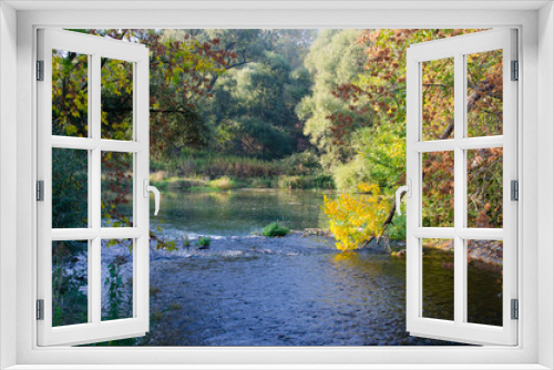 Fototapeta Naklejka Na Ścianę Okno 3D - Herbst in den Rheinauen auf der Ile de Gerstheim