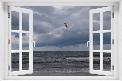 Fototapeta Naklejka Na Ścianę Okno 3D - The flying seagull over the sea