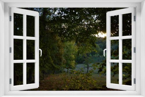 Fototapeta Naklejka Na Ścianę Okno 3D - balade en forêt