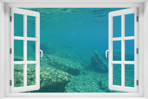 Fototapeta Naklejka Na Ścianę Okno 3D - Underwater life in Kolona double bay Kythnos island Cyclades Greece, Aegean sea.