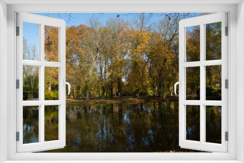Fototapeta Naklejka Na Ścianę Okno 3D - Bäume im Herbst