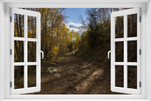 Fototapeta Naklejka Na Ścianę Okno 3D - a trail through a beautiful aspen forest in fall colors