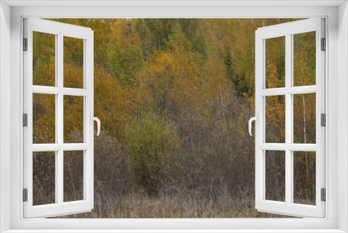 Fototapeta Naklejka Na Ścianę Okno 3D - the natural background - yellow outumn