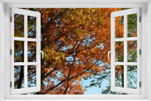 Fototapeta Naklejka Na Ścianę Okno 3D - Wunderschöner bunter Herbst im Oktober