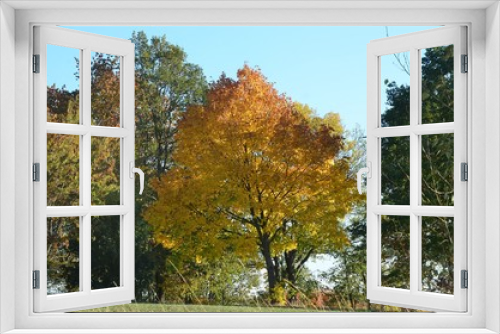 Fototapeta Naklejka Na Ścianę Okno 3D - Bunte Herbstlandschaft - Herbstlaub - Laubfärbung