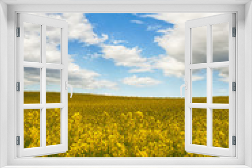 Fototapeta Naklejka Na Ścianę Okno 3D - Landscape of yellow flowers, blue sky and clouds