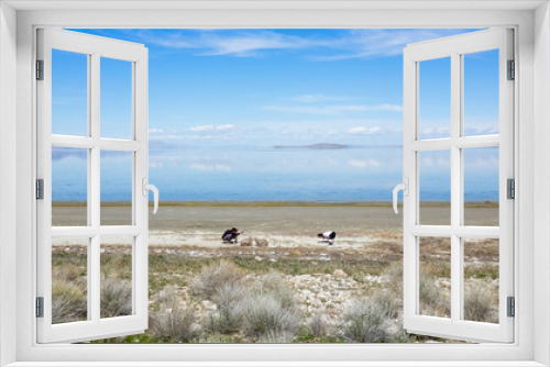 Fototapeta Naklejka Na Ścianę Okno 3D - Antelope Island Yoga Shoot