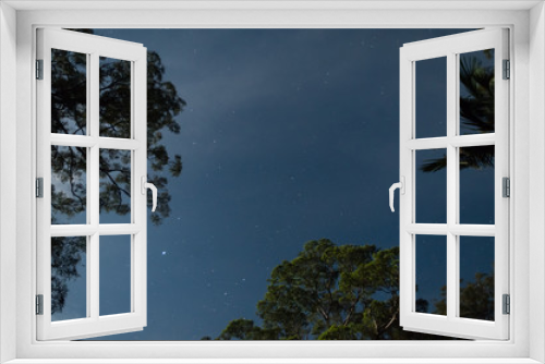 Fototapeta Naklejka Na Ścianę Okno 3D - Stars between moonlight trees