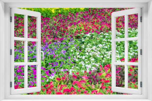 Fototapeta Naklejka Na Ścianę Okno 3D - Hornbill in gardens.