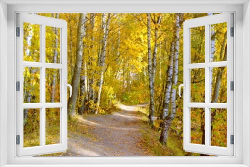 Fototapeta Naklejka Na Ścianę Okno 3D - The path among the yellowed birches in the Park. Defoliation.