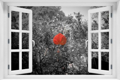 Fototapeta Naklejka Na Ścianę Okno 3D - orange leaf