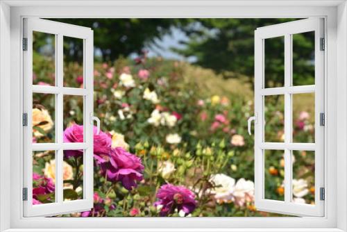 Fototapeta Naklejka Na Ścianę Okno 3D - 薔薇のある風景
