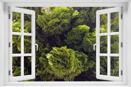 Fototapeta Naklejka Na Ścianę Okno 3D - Erstaunliche Natur