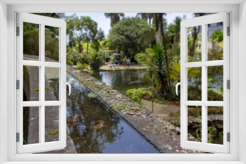 Fototapeta Naklejka Na Ścianę Okno 3D - Tropical Park - pond
