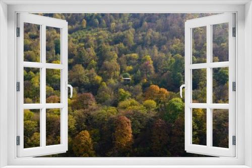 Fototapeta Naklejka Na Ścianę Okno 3D - Beautiful autumn forest, Armenia