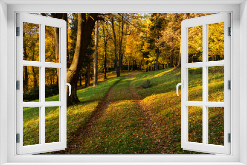 Fototapeta Naklejka Na Ścianę Okno 3D - Autumn, Fall scene. Beautiful Autumnal park with pathway. Beauty nature scene.