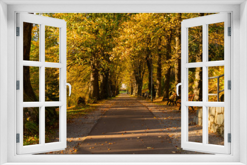 Fototapeta Naklejka Na Ścianę Okno 3D - Beautiful autumn landscape with yellow trees,green and sun. Colorful foliage in the park. Falling leaves natural background