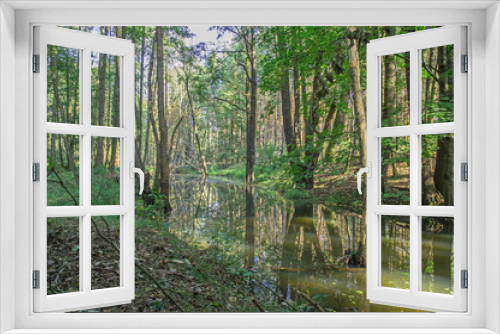 Fototapeta Naklejka Na Ścianę Okno 3D - Dzika, nieuregulowana rzeka.