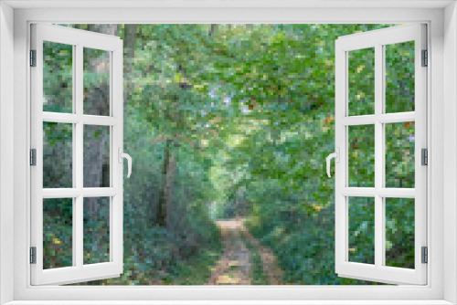 Fototapeta Naklejka Na Ścianę Okno 3D - Waldweg im Herbst