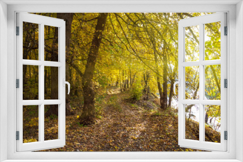 Fototapeta Naklejka Na Ścianę Okno 3D - Country autumn landscape, leaf fall