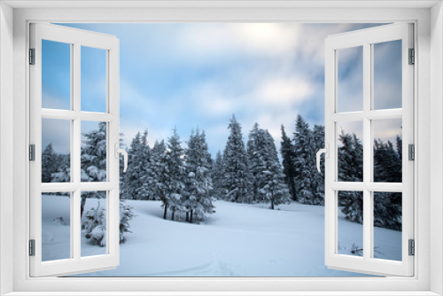 Fototapeta Naklejka Na Ścianę Okno 3D - Snowy fir trees