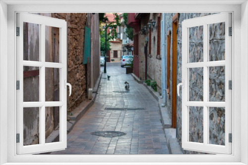 Fototapeta Naklejka Na Ścianę Okno 3D - cat walking on narrow romantic street between buildings in Atalanta, turkey 