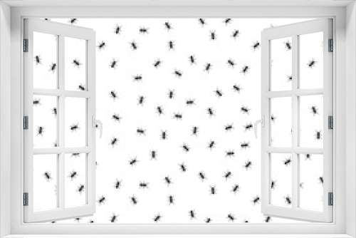Fototapeta Naklejka Na Ścianę Okno 3D - Ant seamless pattern. Black and white vector seamless pattern with ants. Animal background.