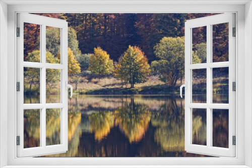 Fototapeta Naklejka Na Ścianę Okno 3D - Forêt des Vosges en automne