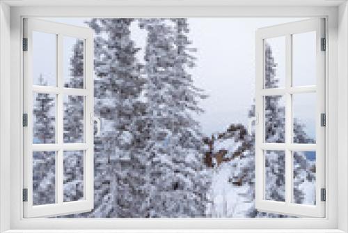 Fototapeta Naklejka Na Ścianę Okno 3D - Winter landscape with tree and snow. Snow-covered trees on slopes of mountain.  Winter forest in Siberia.