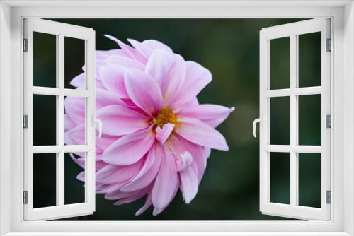 Fototapeta Naklejka Na Ścianę Okno 3D - schönheit