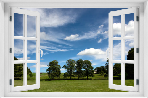 Fototapeta Naklejka Na Ścianę Okno 3D - Bauernhof im Sommer mit blauem Himmel und Bäumen
