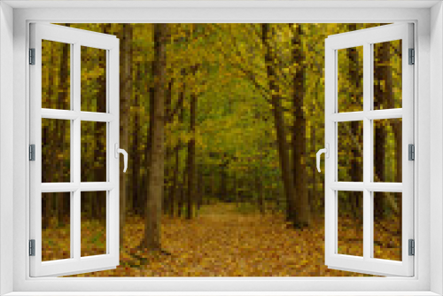 Fototapeta Naklejka Na Ścianę Okno 3D - Fall Leaf Covered Pathway Through Golden Yellow Autumn Forest