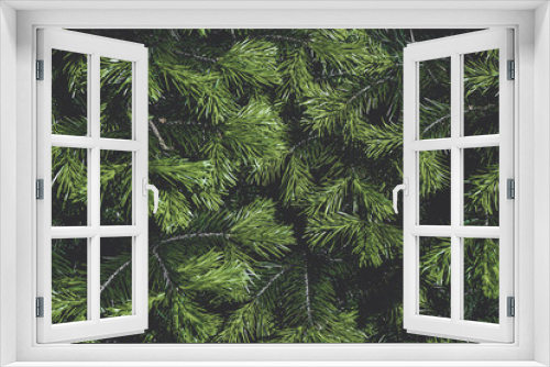 Fototapeta Naklejka Na Ścianę Okno 3D - Fir tree branches. Christmas wallpaper concept