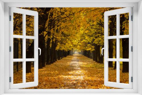 Fototapeta Naklejka Na Ścianę Okno 3D - Beautiful Colorful Autumn Alley. Colorful Autumn With Road Covered With Heap Leaves In Park.