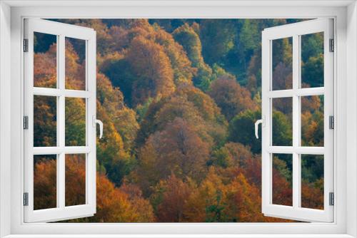 Fototapeta Naklejka Na Ścianę Okno 3D - Colors Of Autumn