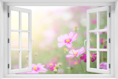 Fototapeta Naklejka Na Ścianę Okno 3D - Beautiful pink and colorful pastel flower field,blur flowers  for background