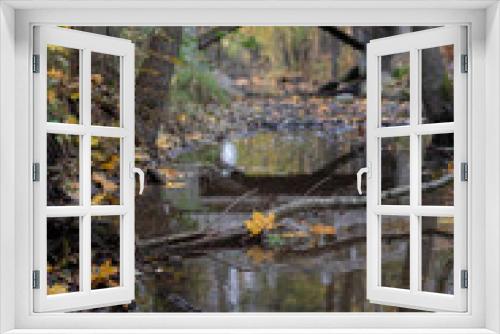 Fototapeta Naklejka Na Ścianę Okno 3D - a bridge over autumn creek