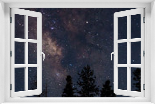 Fototapeta Naklejka Na Ścianę Okno 3D - Silhouetted Treeline Under Night Sky