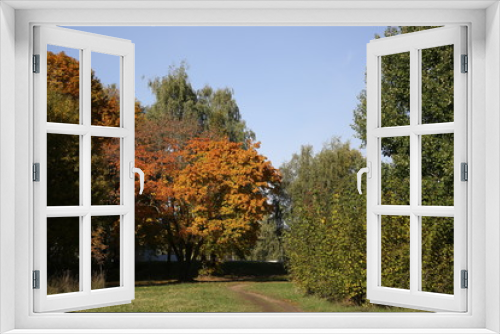Fototapeta Naklejka Na Ścianę Okno 3D - Autumn. Beauty of nature